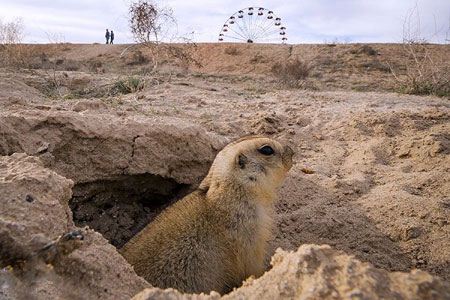 عکس های داغ و دیدنی خبری روز (117)