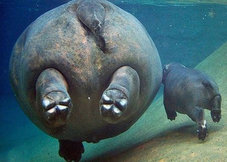 عکس های داغ و دیدنی خبری روز (118)