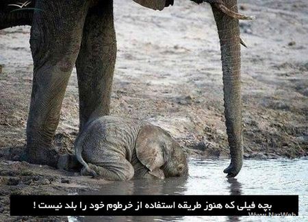 عکس نوشته های طنز و خنده دار برای تلگرام