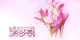 اس ام اس و اشعار ولادت امام حسن مجتبی (2)