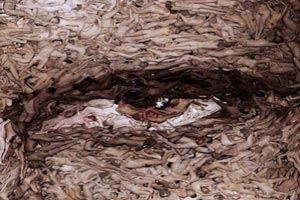 فساد و فحشایی که بدتر از فحشای قوم لوط است (تصاویر) فساد و فحشایی که بدتر از فحشای قوم لوط است (تصاویر)