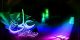 گیف های شب قدر شهادت امام علی ویژه تلگرام