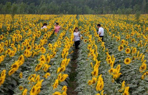 عکس های خبری و داغ روز چهارشنبه 24 خرداد