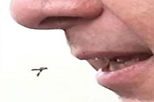 قورت دادن پشه هنگام سخنرانی توسط رئیس جمهور (عکس)