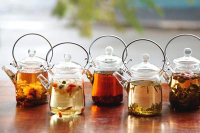 شناخت و خواص معجزه آسای گیاه آنخ (کاکوتی)