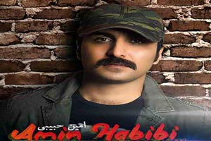 دانلود آهنگ عاشقانه دیونه می کنی منو (امین حبیبی)