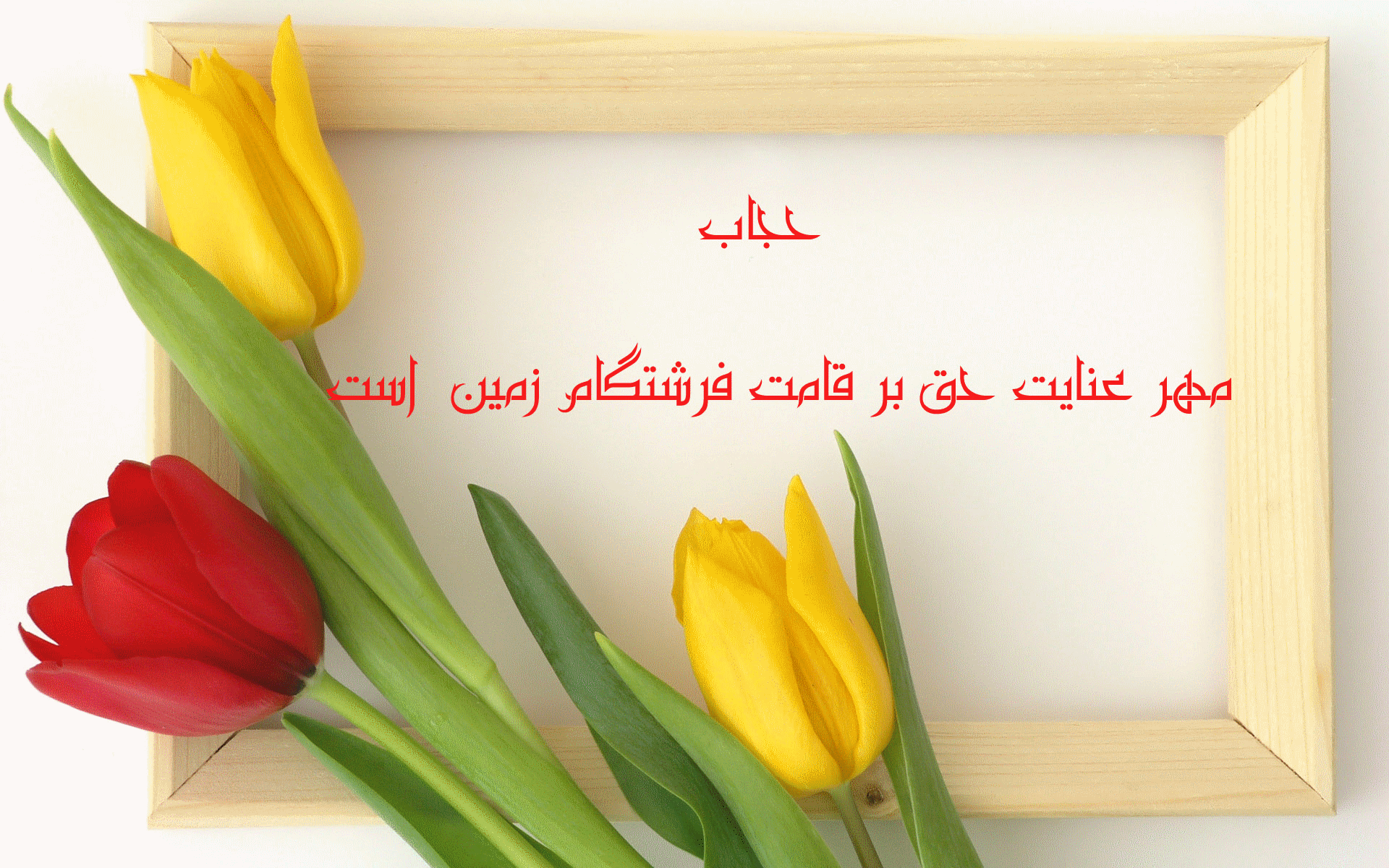 تصاویر متحرک روز حجاب برای شبکه های اجتماعی