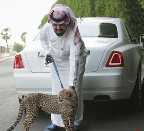 اینستاگرام و لاکچری بچه پولدارهای عربستان را ببیند (تصاویر)