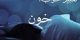 تعبیر خواب خون