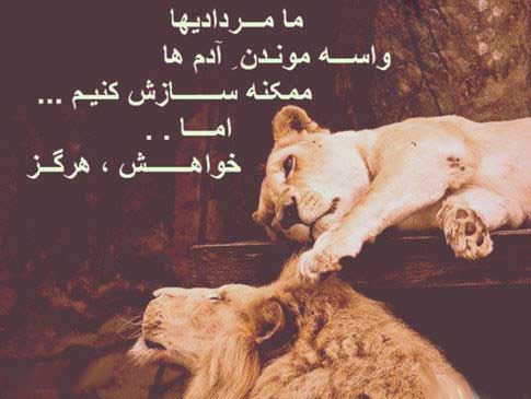 عکس نوشته های متولدین مرداد ماه