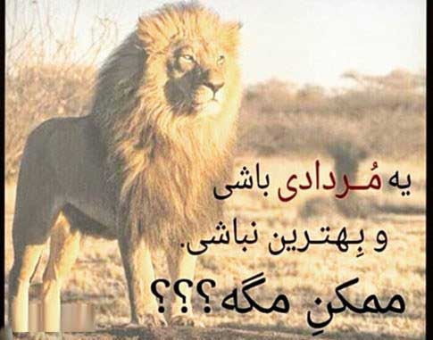 عکس نوشته های متولدین مرداد ماه