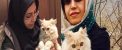 گربه الهام فخاری نماینده مردم شورای شهر تهران