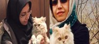 گربه الهام فخاری نماینده مردم شورای شهر تهران