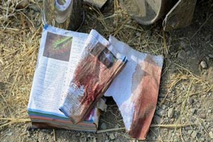 تصاویر وحشتناک تصادف و سقوط اتوبوس به دره جاجرود