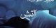 تعبیر خواب آتش