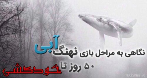 مراحل بازی نهنگ آبی و کشنده + تصاویر