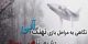 مراحل بازی نهنگ آبی و کشنده + تصاویر