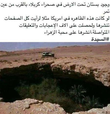 کشف جنگلی در زیر زمین صحرای کربلا ! تصاویر