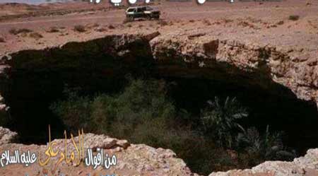 کشف جنگلی در زیر زمین صحرای کربلا ! تصاویر