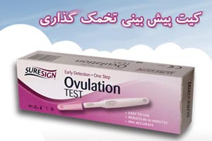 محاسبه روز تخمک گذاری خانم ها برای بارداری + تقویم محاسبه روز تخمک گذاری خانم ها برای بارداری + تقویم