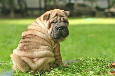 عکس های داغ و دیدنی خبری روز (120)