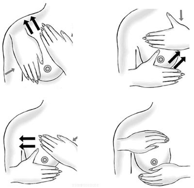 خوراکی هایی که سینه ها را سفت می کند
