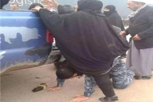 تصاویر داغ و دیدنی پذیرایی از زائران کربلا تصاویر داغ و دیدنی پذیرایی از زائران کربلا