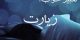 تعبیر خواب زیارت