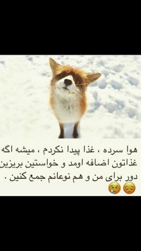 استوری داغ و جدید اینستاگرام بازیگران و چهره ها 101