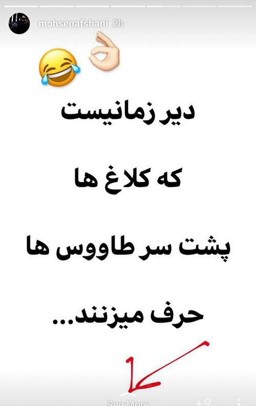 عکس های ازدواج محسن افشانی پرحاشیه ترین بازیگر اینستاگرام