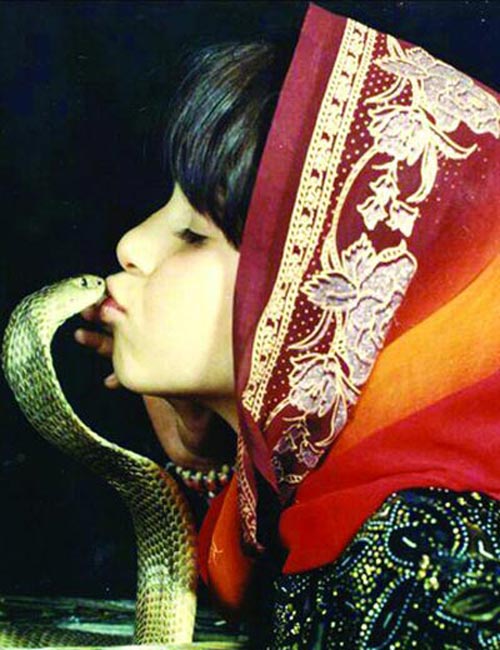 بوسه های جنجالی شاه دختر ایران بر زبان سلطان مار سمی جهان