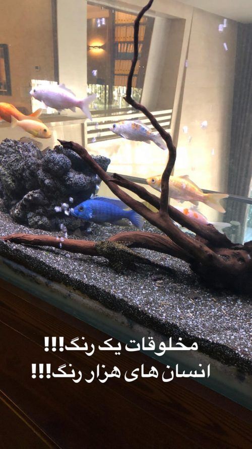 تصاویر داغ بازیگران و استوری هنرمندان مشهور (109)