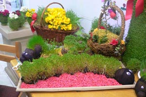 زمان مناسب برای کاشت انواع دانه ها برای سبزه عید