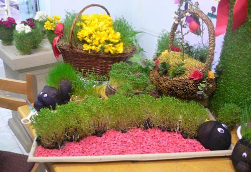 زمان مناسب برای کاشت انواع دانه ها برای سبزه عید