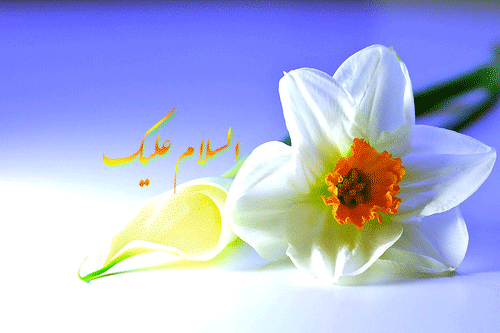 تصاویر متحرک تبریک ولادت جواد الائمه ویژه شبکه های اجتماعی