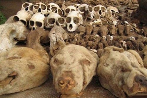 وحشتناک ترین بازار جهانی در افریقا با تصاویر