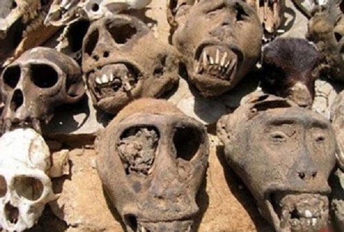 وحشتناک ترین بازار جهانی در افریقا با تصاویر