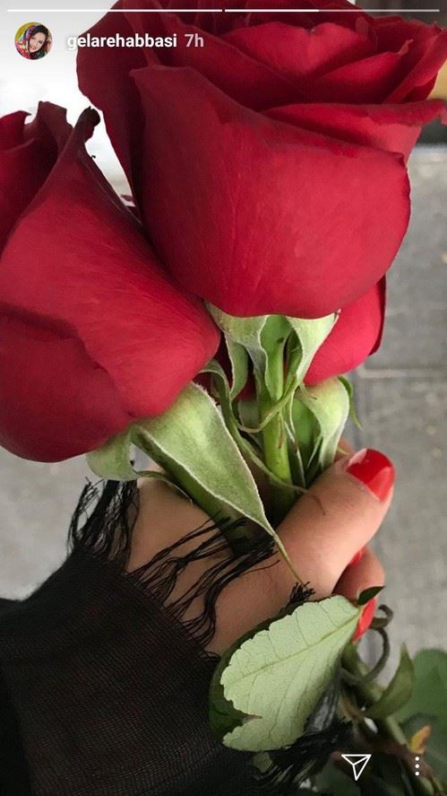 عکس های پرفکت و دیدنی بازیگران / استوری و اینستاپست هنرمندان (117)