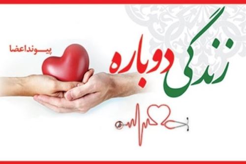 عکس نوشته های روز ملی اهدای عضو + وصیتی زیبا برای زنده ماندن