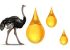 روغن شتر مرغ چه خواصی دارد