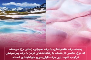 عکس نوشته های دانستنی بسیار جالب و خواندنی (16) عکس نوشته های دانستنی بسیار جالب و خواندنی (16)