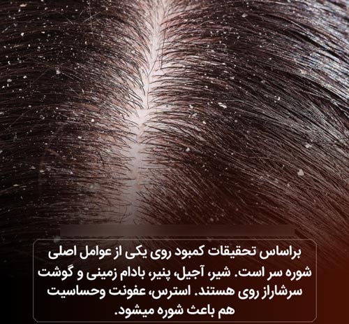 عکس نوشته های دانستنی بسیار جالب و خواندنی (16)
