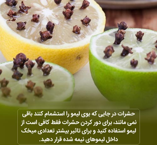عکس نوشته های دانستنی بسیار جالب و خواندنی (16)