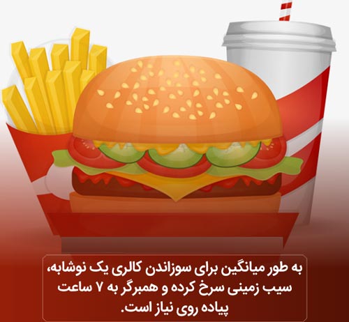عکس نوشته های دانستنی بسیار جالب و خواندنی (16)