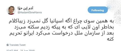 بیوگرافی و عکس های وحید امیری و لایی جام جهانی 2018 به پیکه
