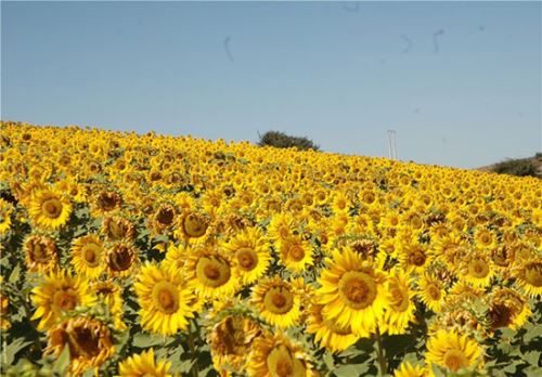 مکان های دیدنی سمنان بخش دوم