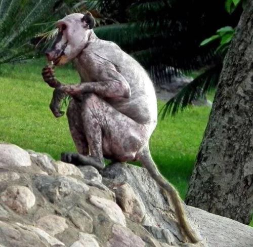 اتاق حجله اجباری دختر 11 ساله با مرد 40 ساله! عکس و داغ ترین خبرهای جذاب