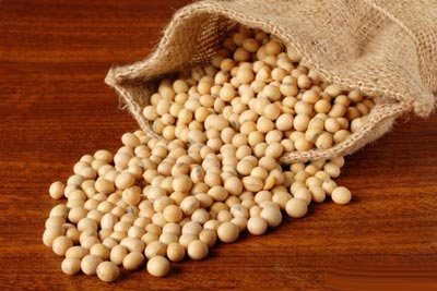 سویا چیست و چه خواص و مضراتی دارد
