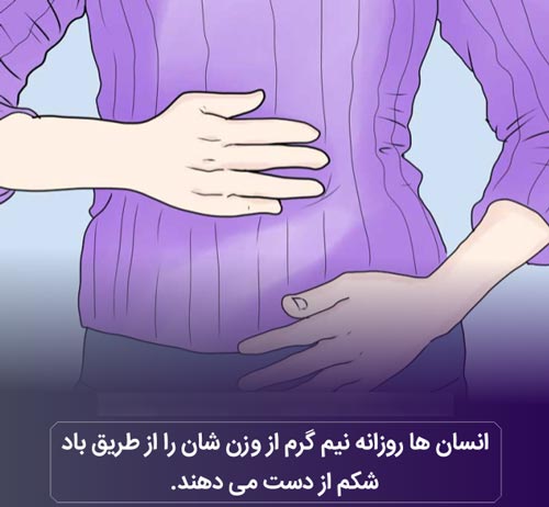 عکس نوشته های دانستنی؛ از باد شکم تا لاک 3 بعدی لاک پشت!