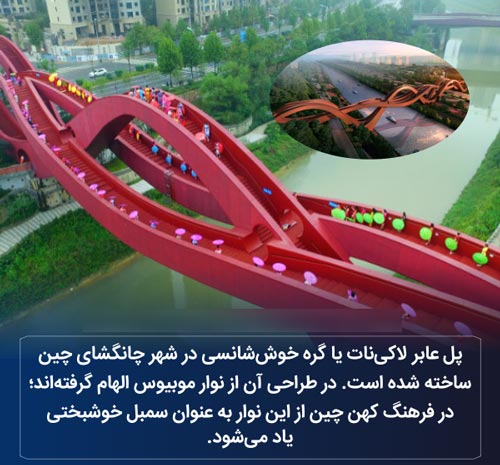 عکس نوشته های دانستنی؛ از باد شکم تا لاک 3 بعدی لاک پشت!